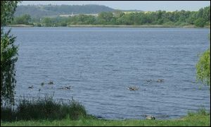 kisbalaton_elovilag.jpg